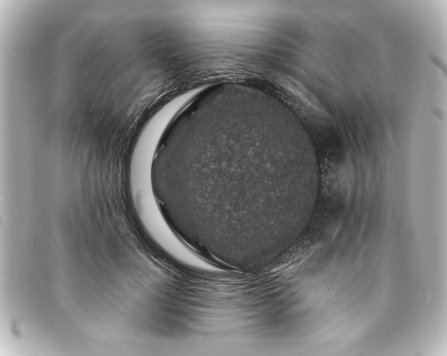 X0000094360748200711021509