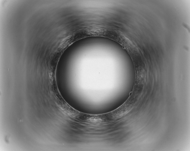 X0000094360749200711021509