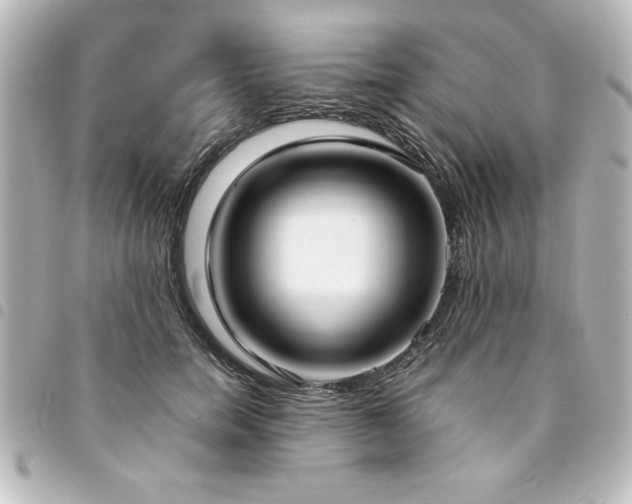 X0000094360750200711021509