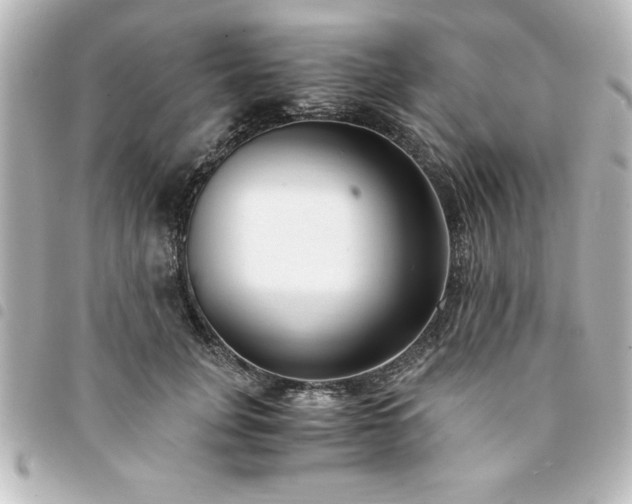 X0000094360751200711021509