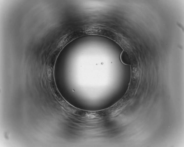 X0000094360753200711021509