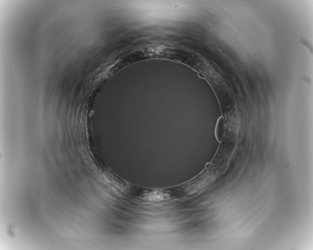 X0000094360754200711021509