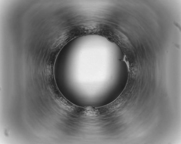 X0000094360756200711021509