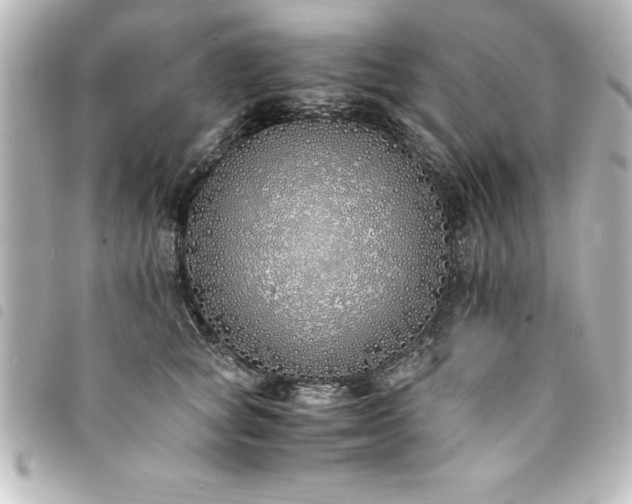 X0000094360757200711021509