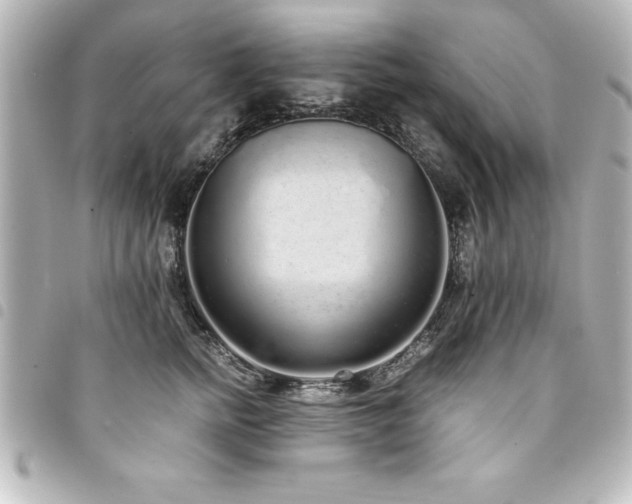 X0000094360758200711021509