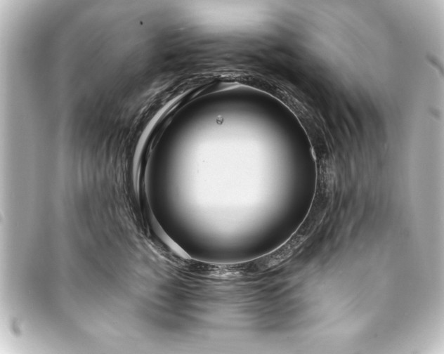 X0000094360760200711021509