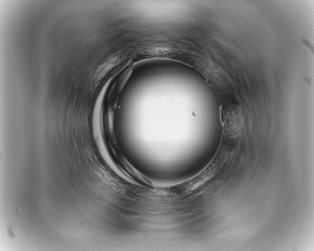 X0000094360762200711021509