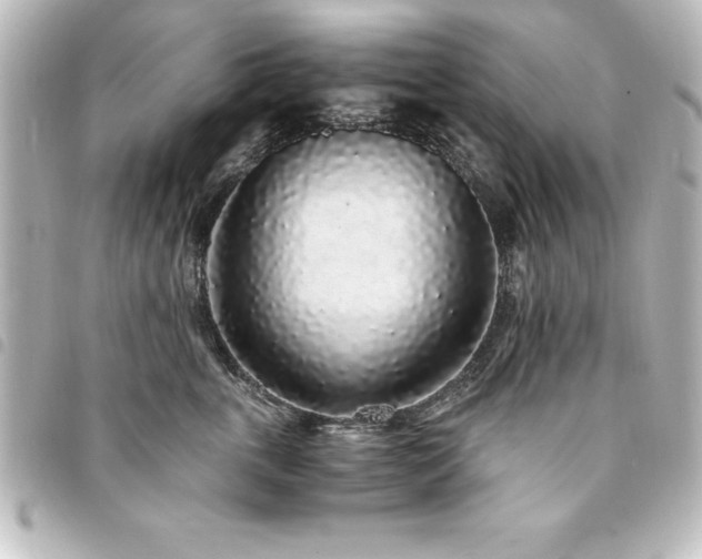 X0000094360763200711021509