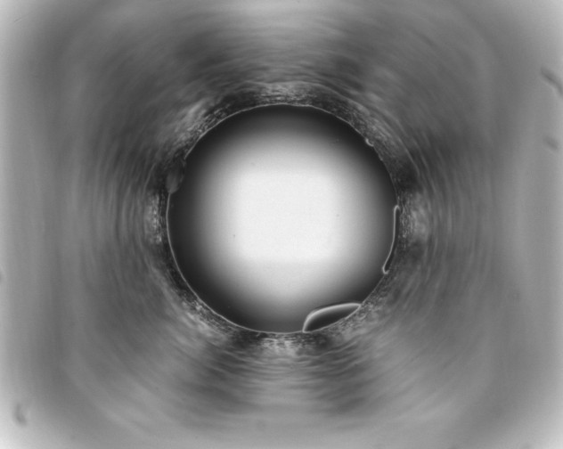 X0000094360764200711021509
