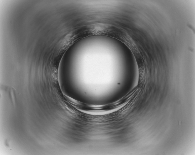 X0000094360766200711021509