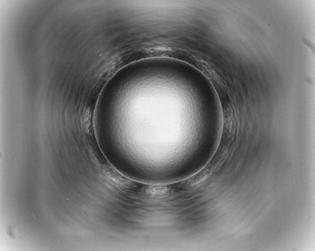 X0000094360767200711021509