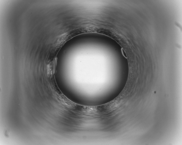X0000094360768200711021509
