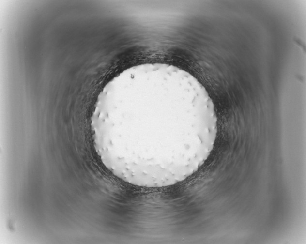 X0000094360769200711021509