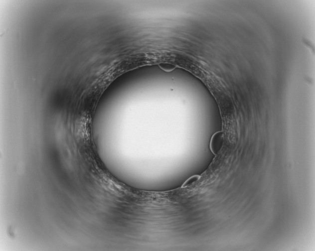 X0000094360770200711021509