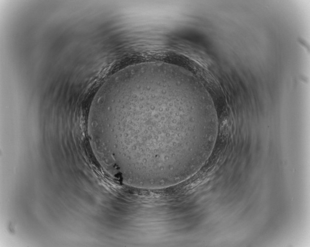 X0000094360772200711021509