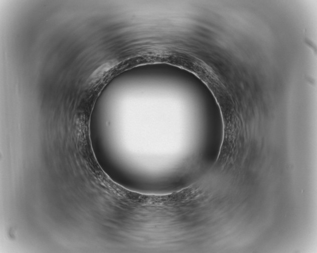 X0000094360773200711021509