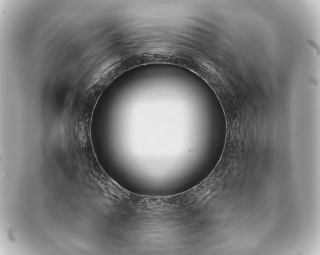 X0000094360774200711021509
