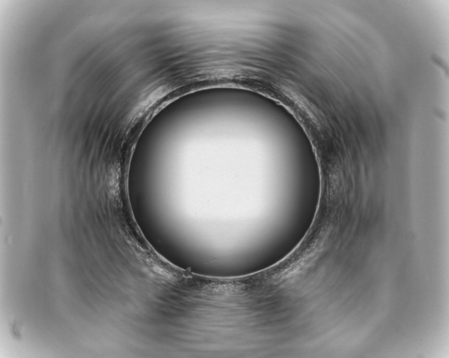 X0000094360778200711021509