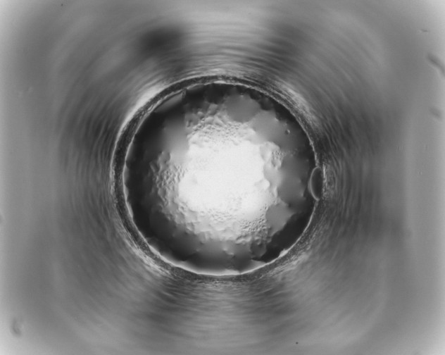 X0000094360780200711021509