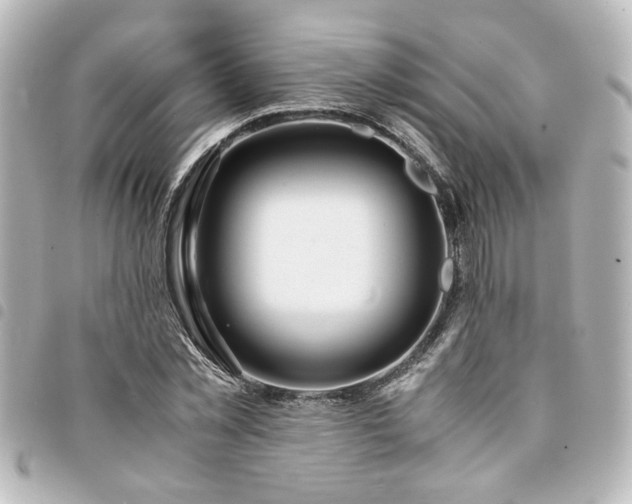 X0000094360781200711021508