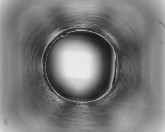 X0000094360784200711021508