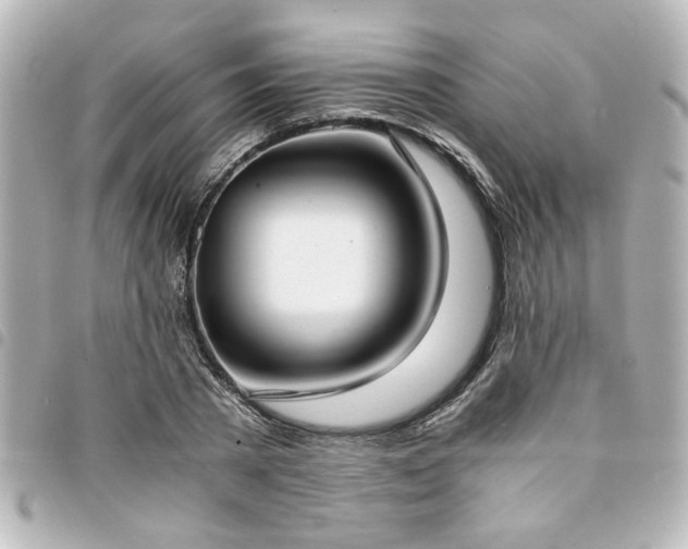 X0000094360785200711021508