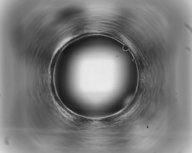 X0000094360787200711021508