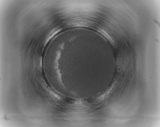 X0000094360790200711021508