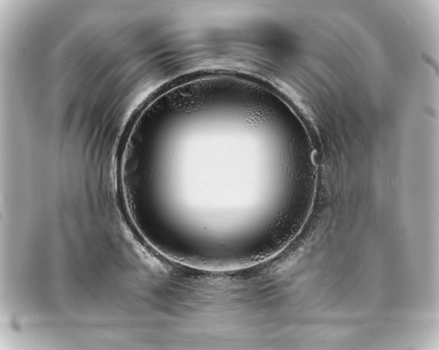 X0000094360791200711021508