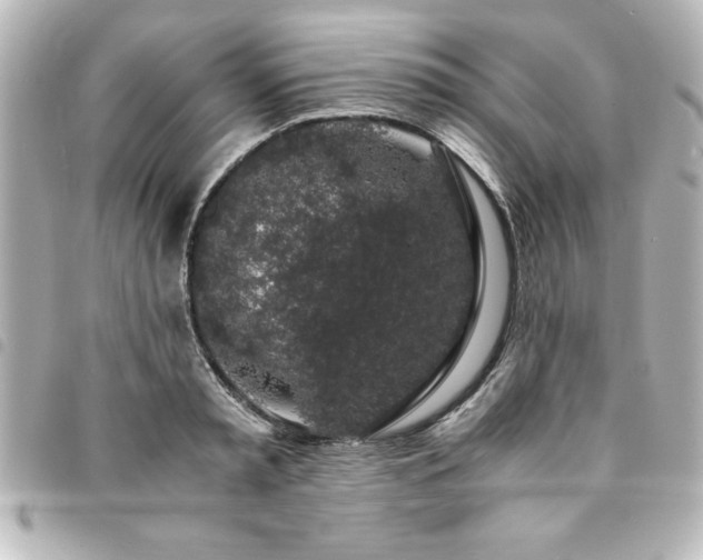 X0000094360797200711021508