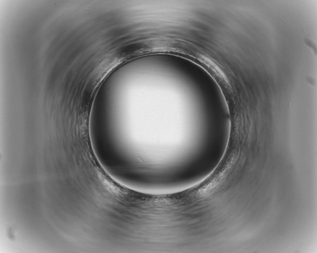 X0000094360801200711021508