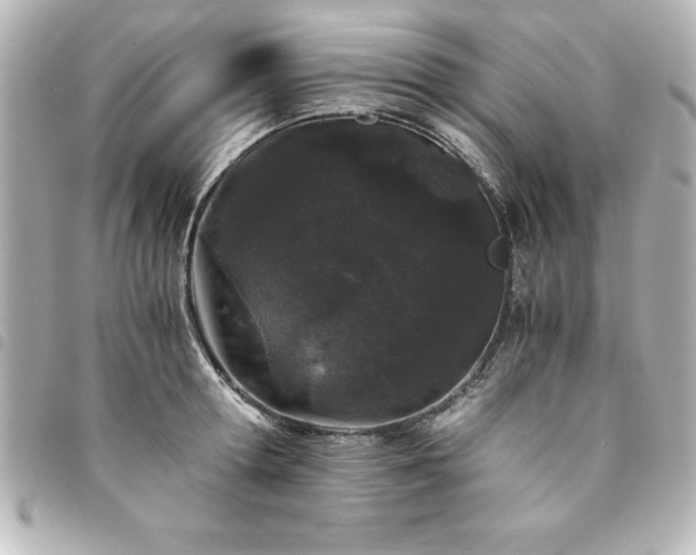 X0000094360802200711021508
