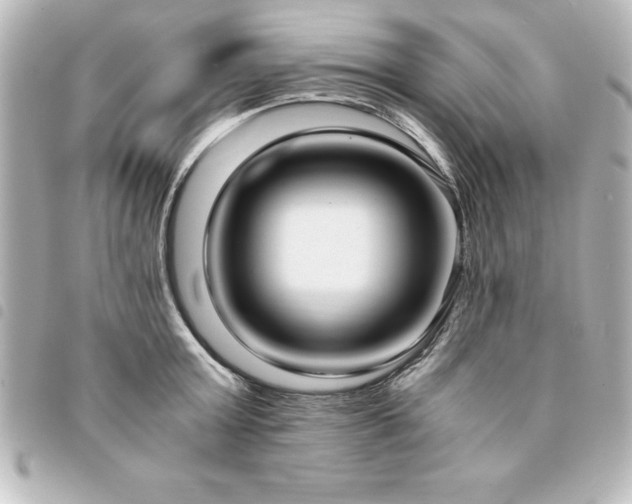 X0000094360803200711021508