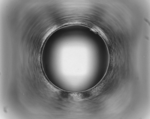 X0000094360805200711021508