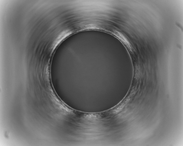 X0000094360806200711021508