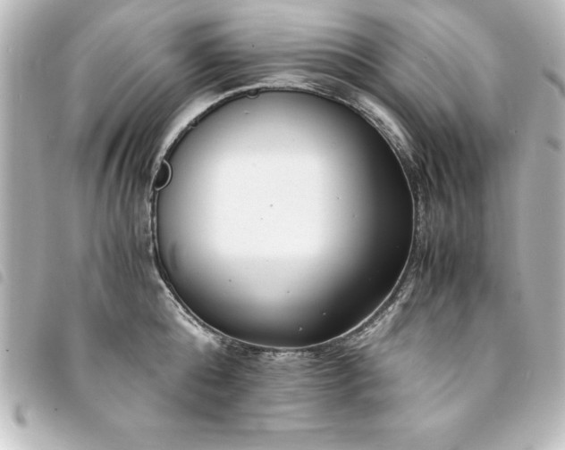 X0000094360808200711021508