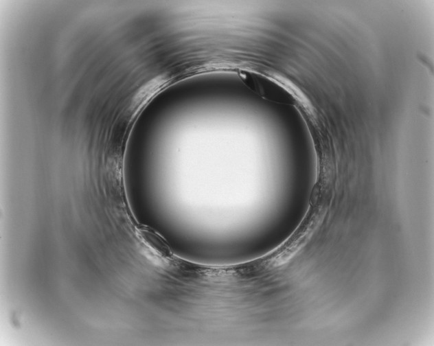 X0000094360809200711021508