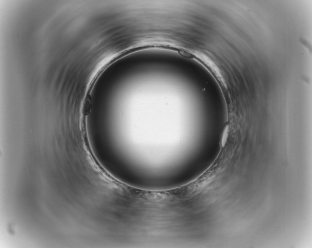 X0000094360815200711021508