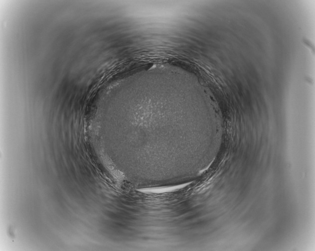 X0000094360818200711021507