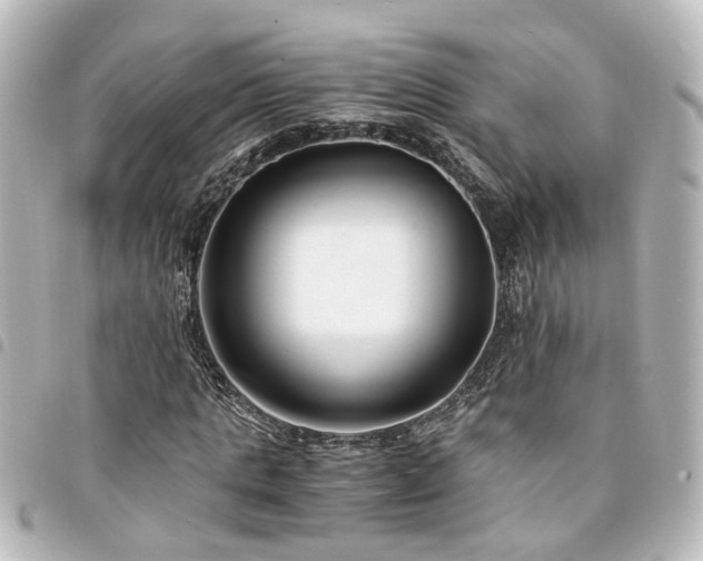 X0000094360821200711021507