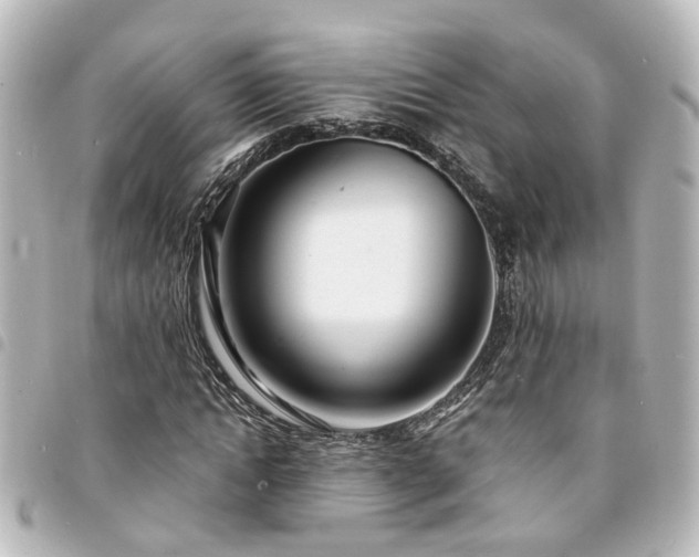 X0000094360822200711021507