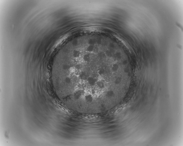 X0000094360823200711021507