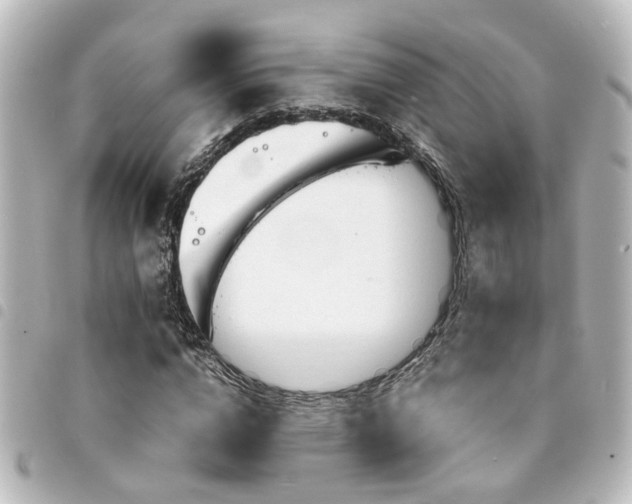 X0000094360824200711021507