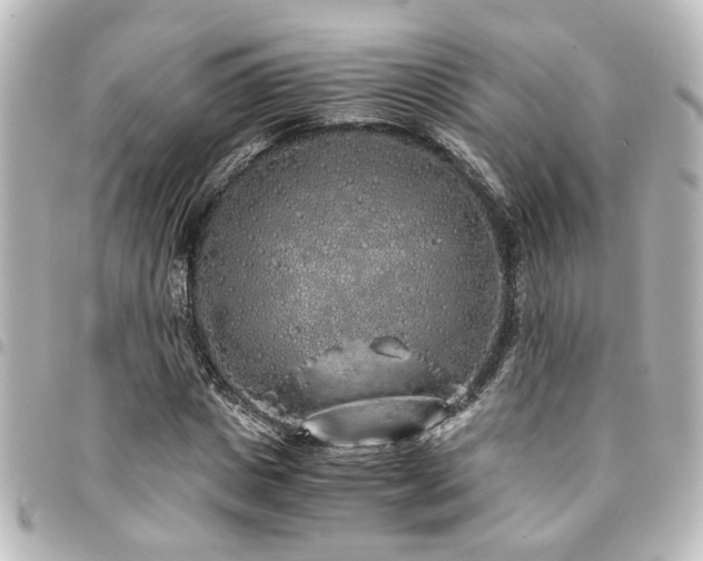 X0000094360825200711021507