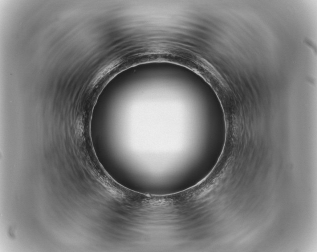 X0000094360826200711021507