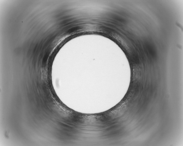 X0000094360828200711021507