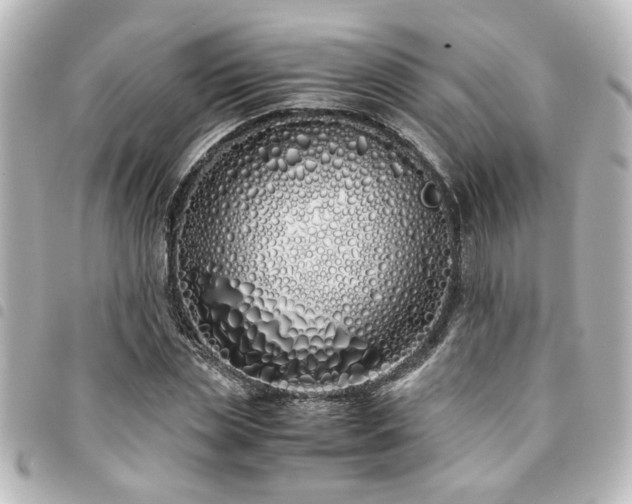 X0000094360829200711021507