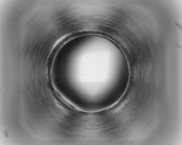 X0000094360830200711021507