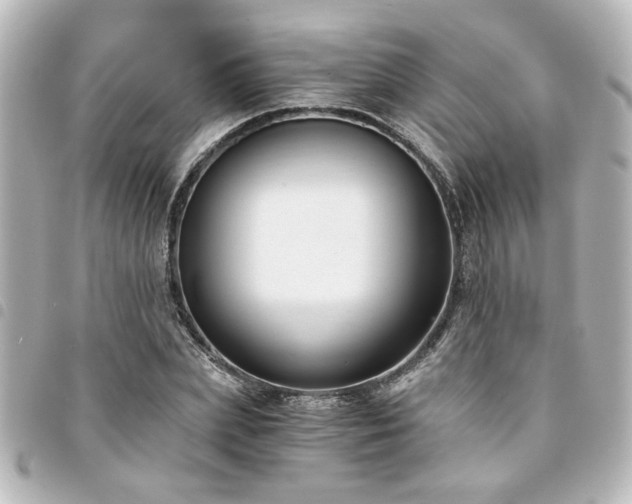 X0000094360831200711021508