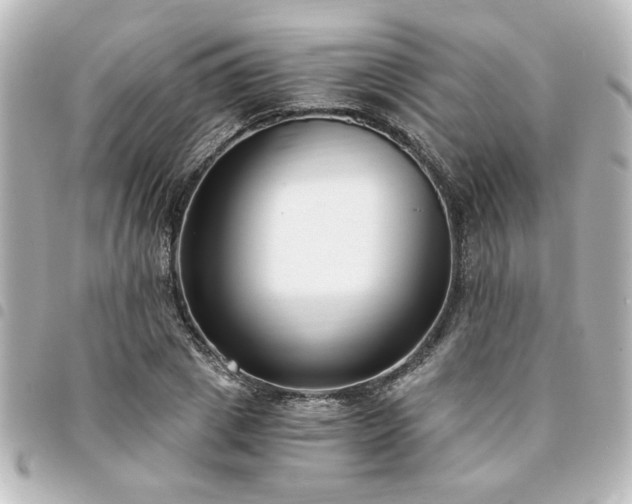 X0000094360833200711021508